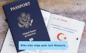 Hướng dẫn xin nhập quốc tịch Malaysia cho trẻ sinh tại Việt Nam