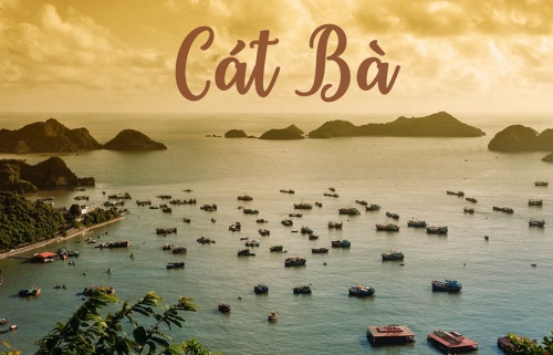 TOUR HÀ NỘI- HẢI PHÒNG- CÁT BÀ- HÀ NỘI 2 NGÀY 1 ĐÊM