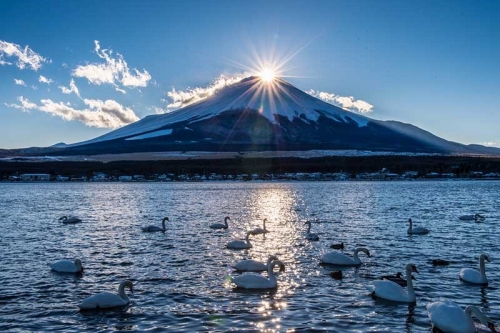 NARITA - FUJI - TOKYO - NARITA 5N4Đ Hái Trái Cây - Tắm Khoáng Nóng Onsen